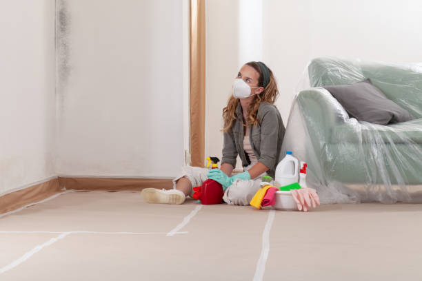 Trusted Crawl Space Mold Removal service in Arlington, WA - WQB Mold Removal